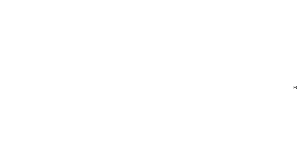 SOLMEX | Logo Solmex blanco